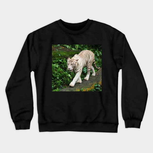 Walking The Beat Crewneck Sweatshirt by LeanneAllen